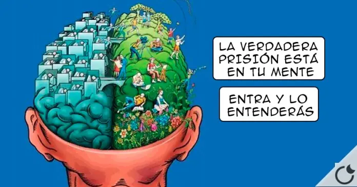ciencia