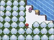 pokedex