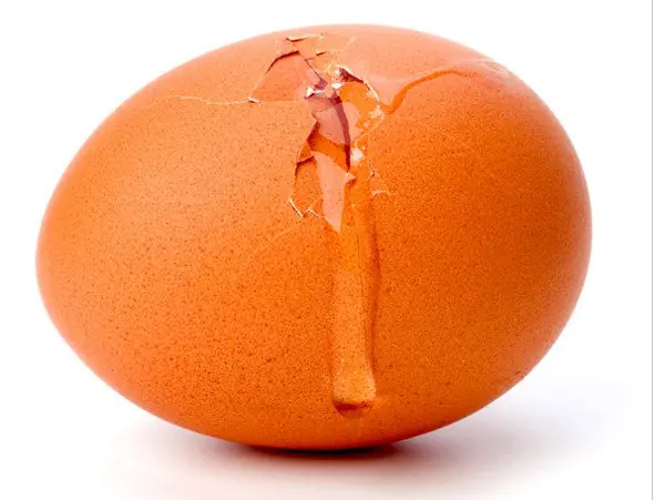huevos marrones