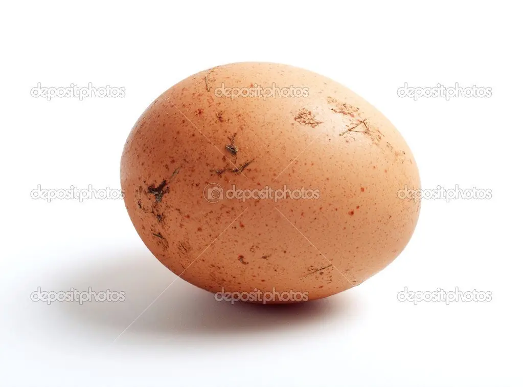 ¿Huevos Blancos o Marrones?