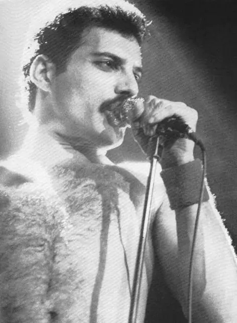 Freddie Mercury y la idolatría