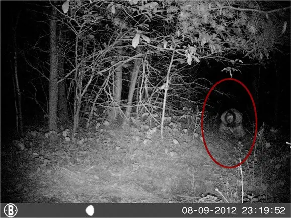 Fotos de Fantasmas reales