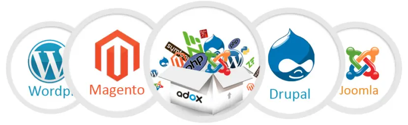 pagina web 2016