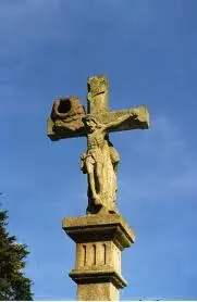 hornero