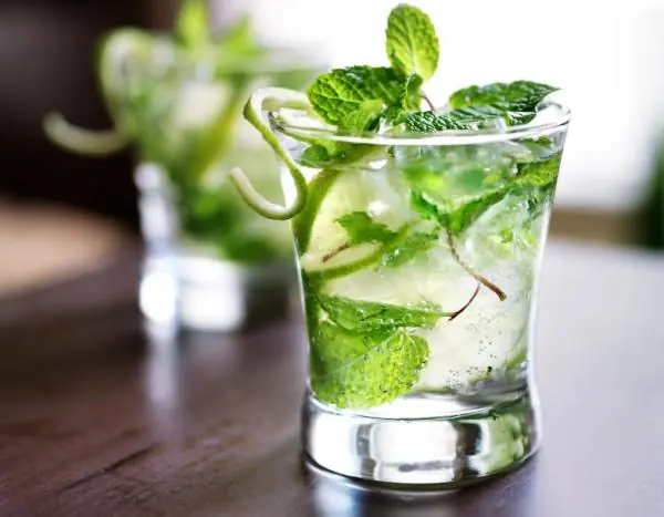 tragos tragos