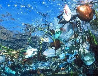 Descubren la Atlantida de Basura