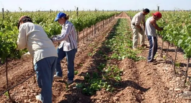 Peones de campo al borde del knock out.