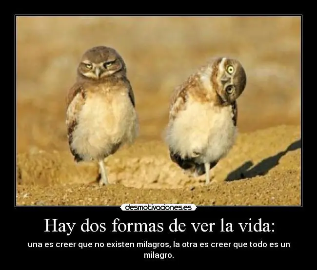 aves