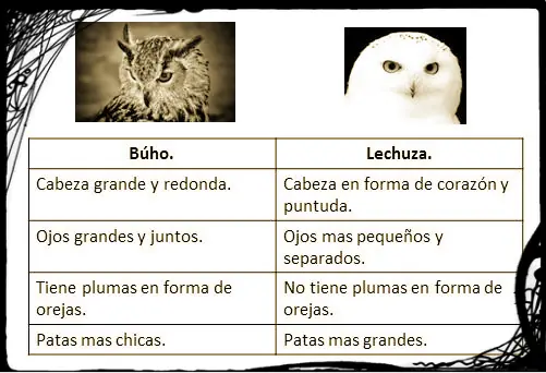 imagenes