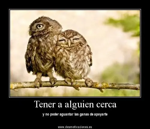 Animales