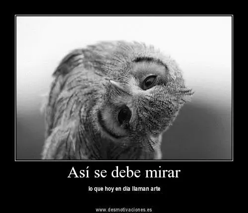 imagenes