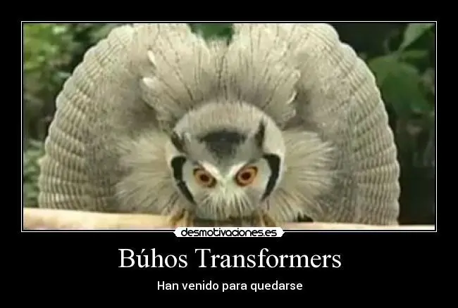 imagenes