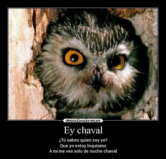 aves
