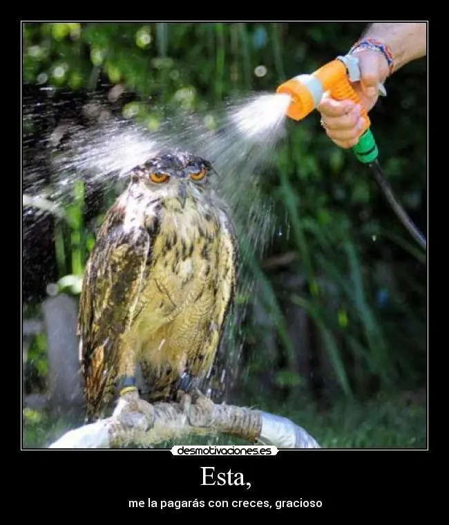 imagenes