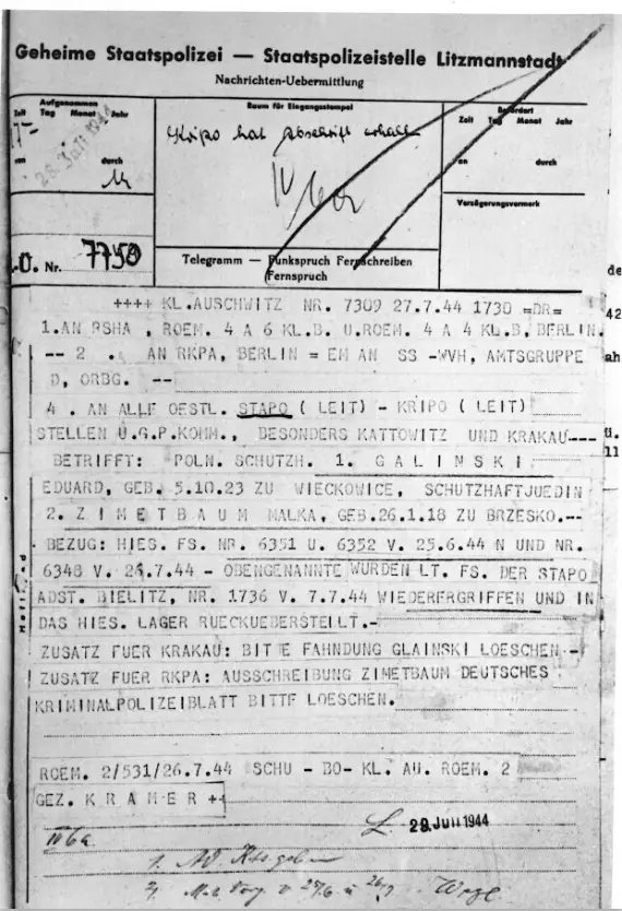 auschwitz