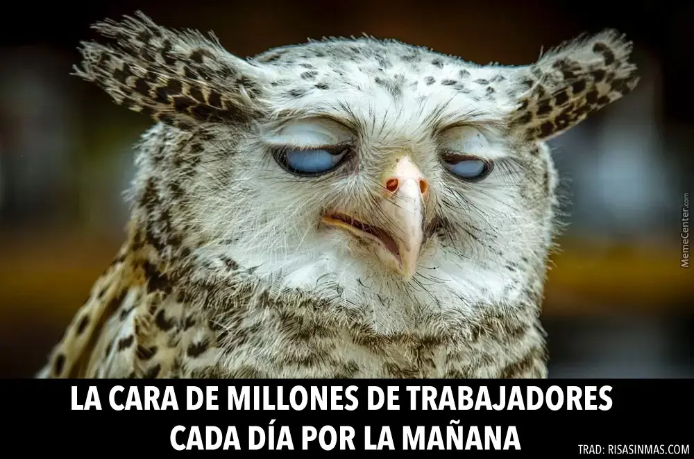Animales