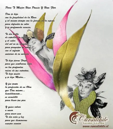 Feliz Dia de  la Mujer