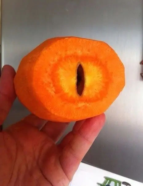 maquinola