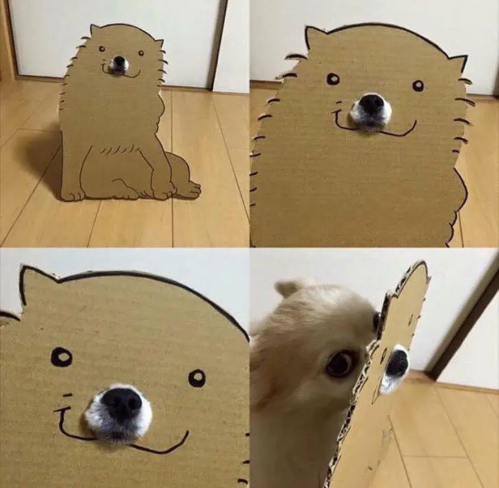 jajaja