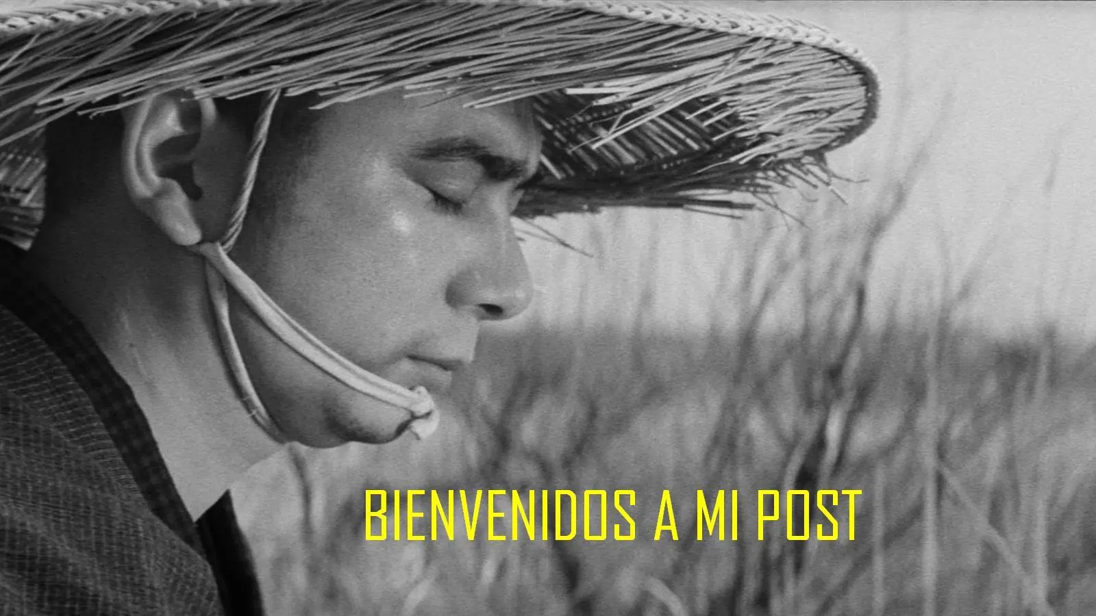 Te enseño reparación artesanal de botonera de celulares