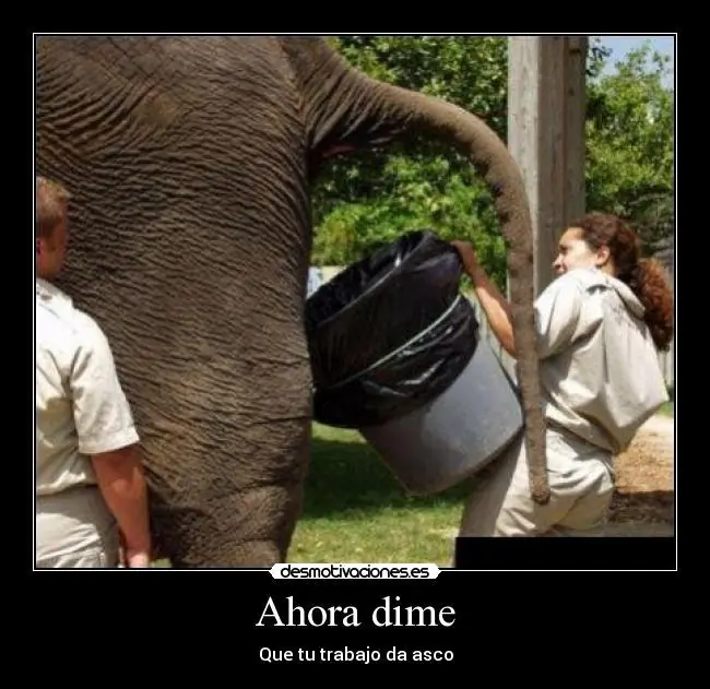 proyectar