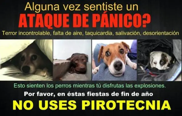 prevencion
