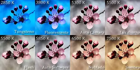 Trucos y consejos de fotografía