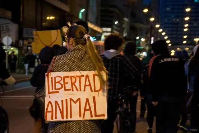 Zoologicos en latinoamerica