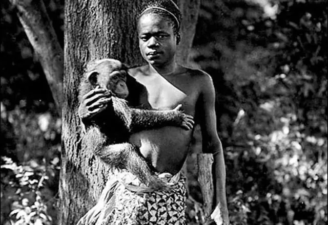Zoologicos en latinoamerica