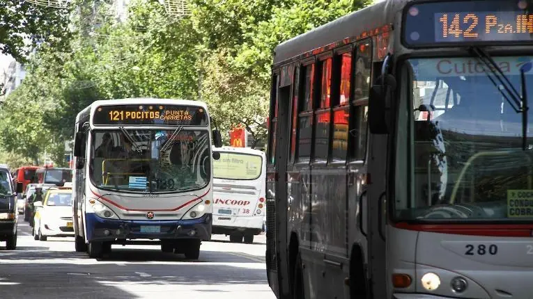 Escudo virgo