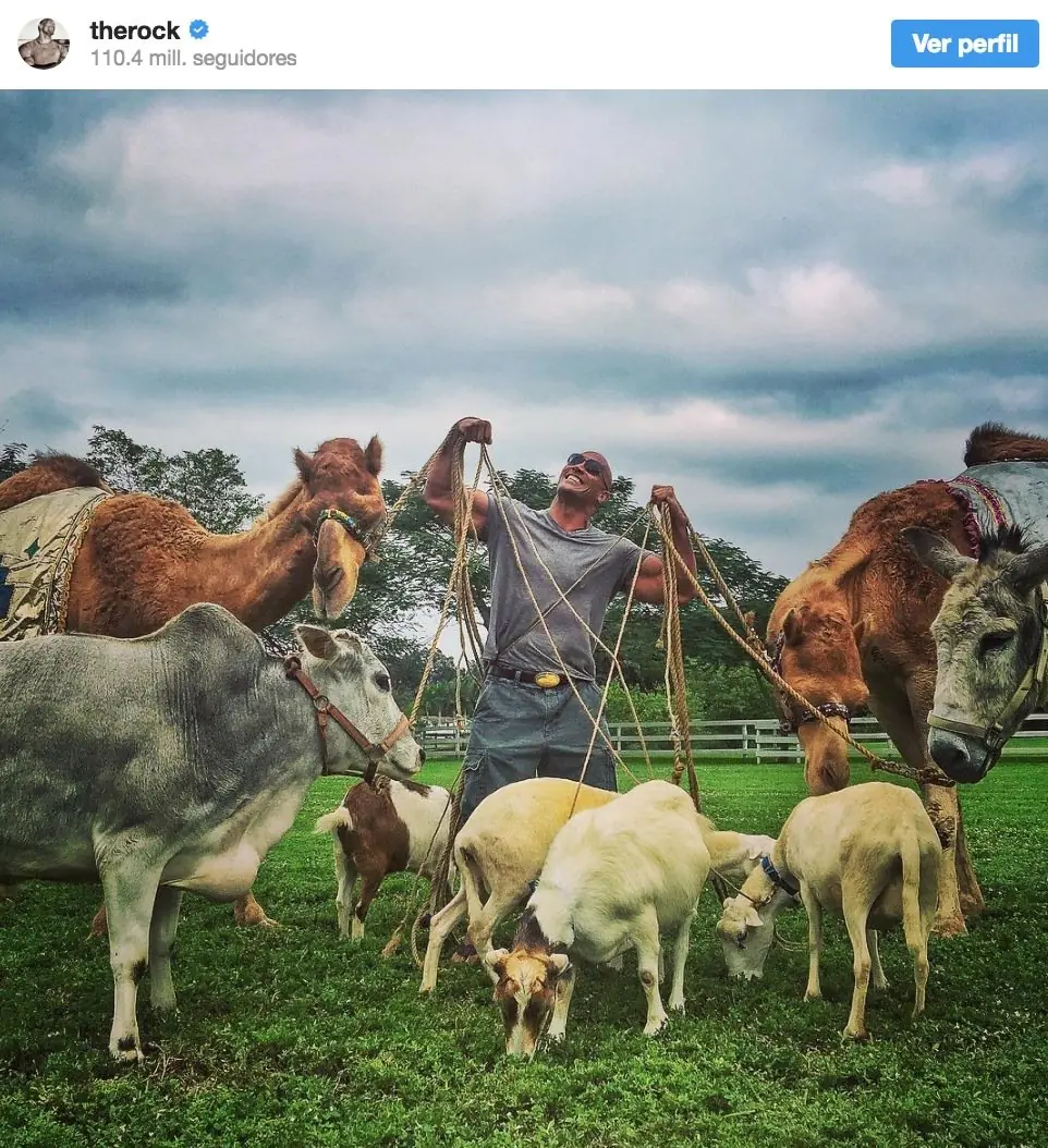 Las 15 Locuras más épicas que ha hecho The Rock