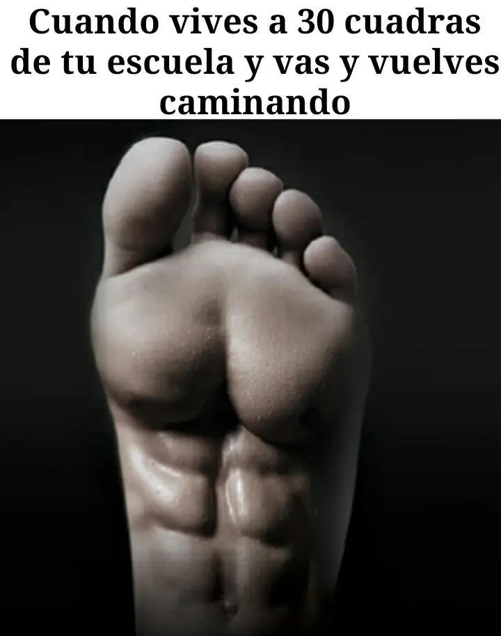 Memes para empezar la semana de buen humor
