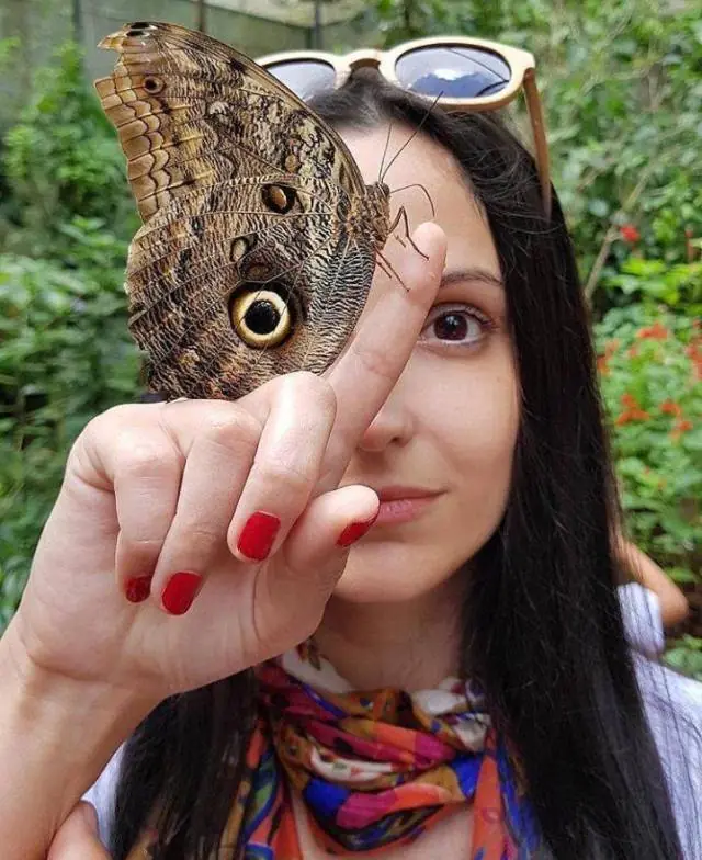 divertidas