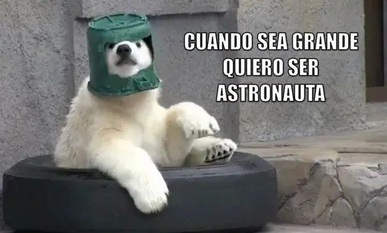 mal humor