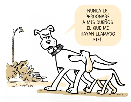 sonrisa