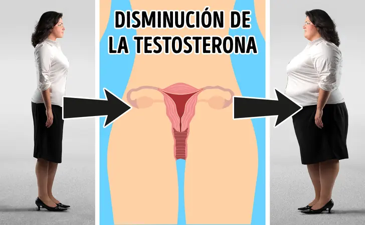 9 Hormonas que conducen al aumento de peso, y cómo evitarlo