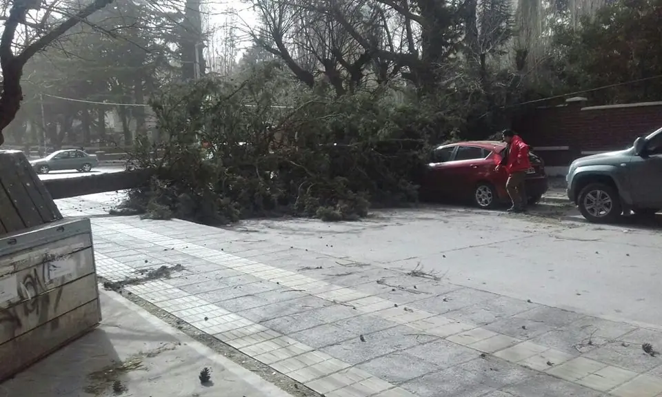 temporal