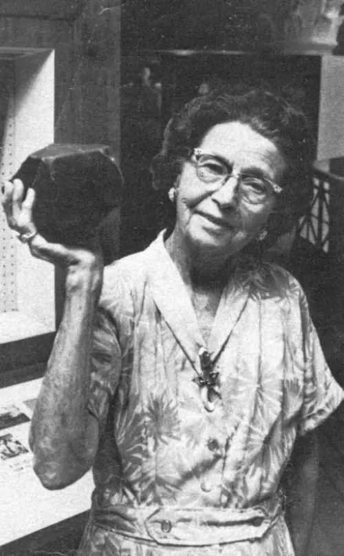 La única persona en la historia golpeada por un meteorito
