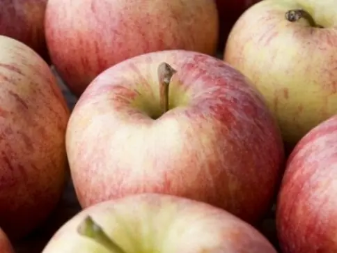 Así es como debes conservar estas frutas