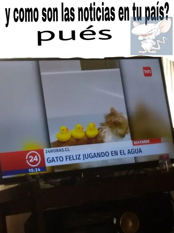 regracioso