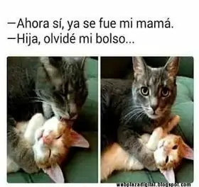 memes