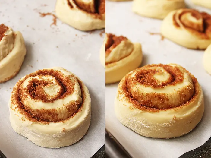 rollitos