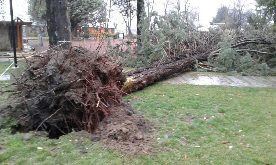 Temporal de viento en el Alto Valle+fotos
