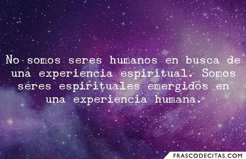 hoy