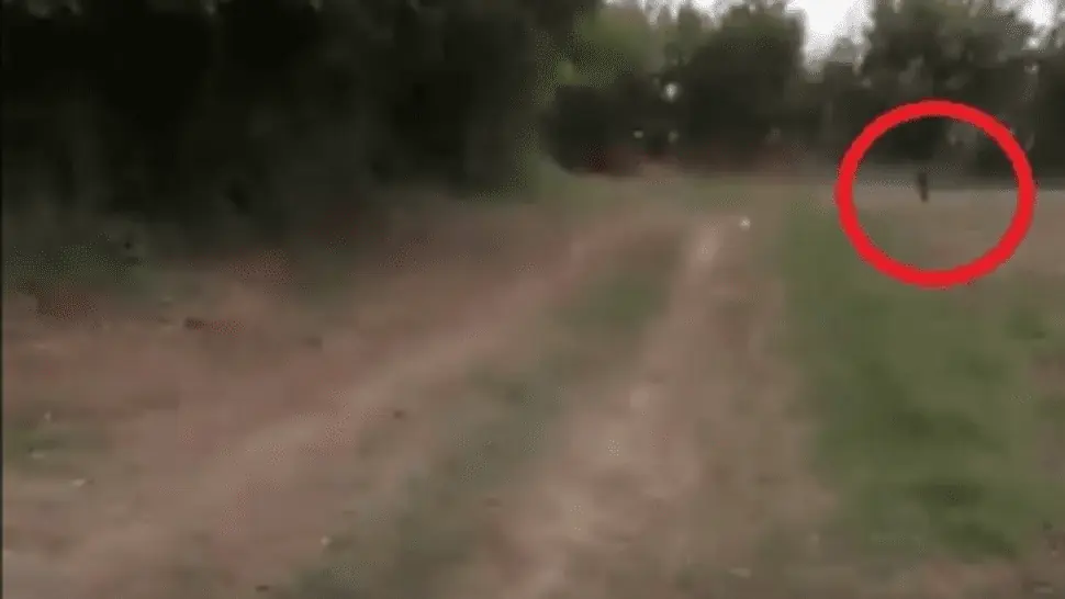 Duende depravado acosó a un grupo de pibas