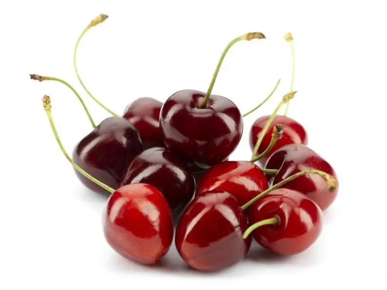 Semillas que son venenosas y no lo sabías