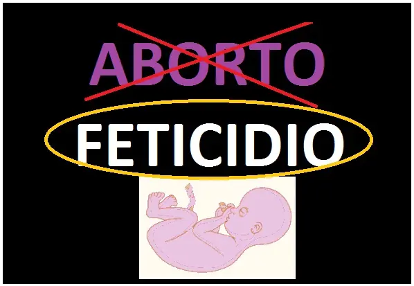 Falta una ley contra el feticidio: no al aborto de embarazo