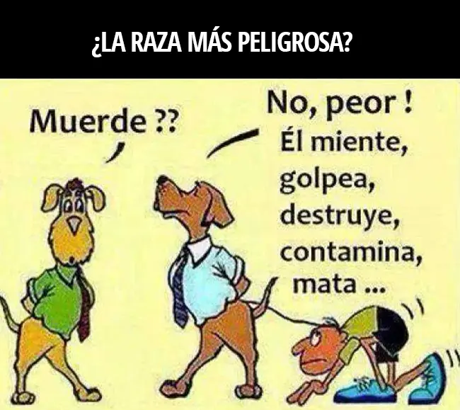 imagenes