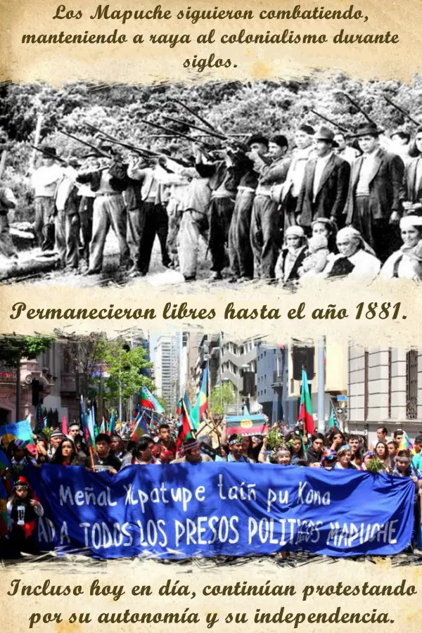 mapuche