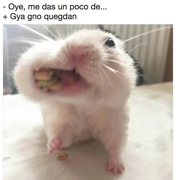 humor